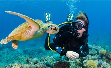 Full Day Diving And Snorkeling In Cham Island