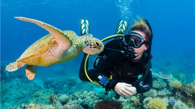 Full Day Diving And Snorkeling In Cham Island