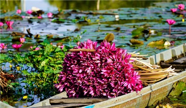 Indochina Odyssey Tour 21 Days