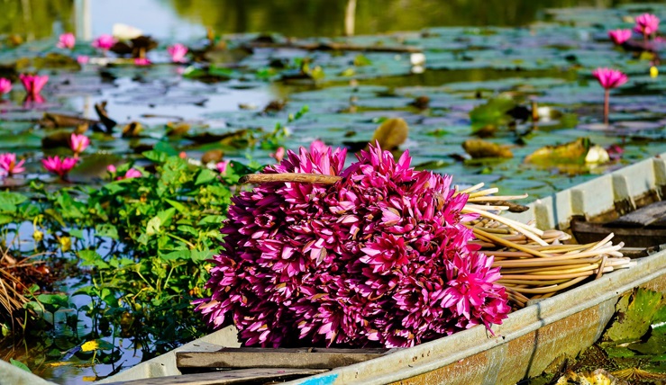 Indochina Odyssey Tour 21 Days
