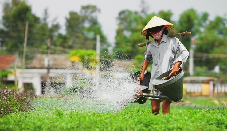 Highlights Of Vietnam And Cambodia 16 Days