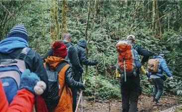 Fansipan Summit Trekking 3 Days - Standing on The Roof of Indochina