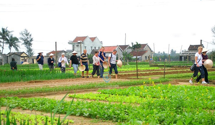 Grand Vietnam 22 Days
