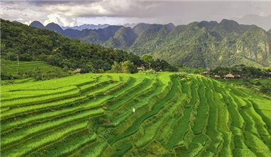 Vietnam Cutural Highlights 15 Days