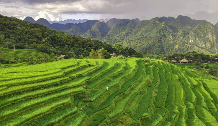 Vietnam Cutural Highlights 15 Days