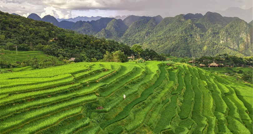Vietnam Cutural Highlights 15 Days