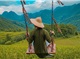 Vietnam Cutural Highlights 15 Days