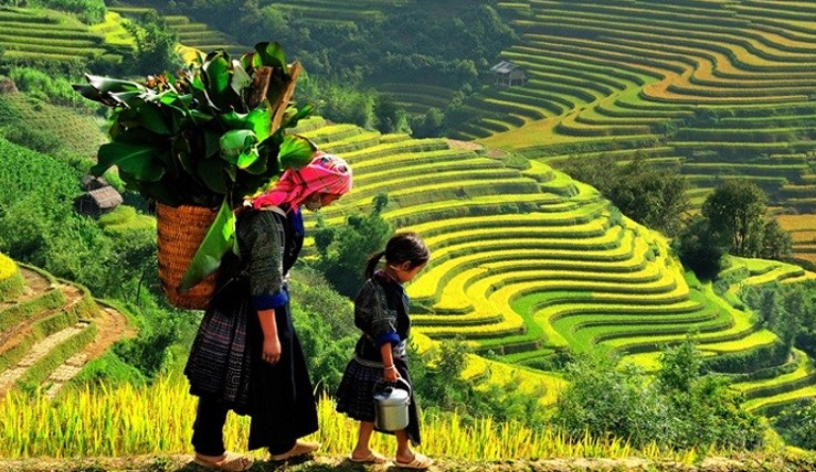 Essential Vietnam 17 Days