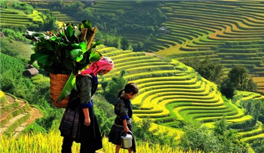 Classic Vietnam 14 Days