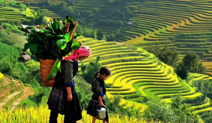Classic Vietnam 14 Days