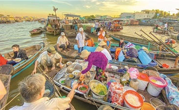 Mekong Delta In A Glimpse
