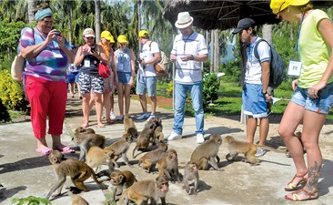 Nha Phu Bay Full Day from Nha Trang