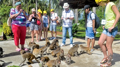Nha Phu Bay Full Day from Nha Trang