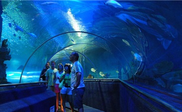 Off Shore Nha Trang City Tour From Cruise Ship