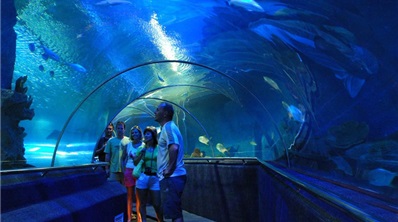 Off Shore Nha Trang City Tour From Cruise Ship