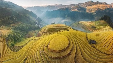 Ha Noi - Mu Cang Chai 2 Days 1 Night