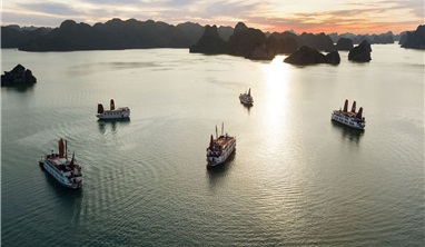 Pelican Cruise 3 Days 2 Nights Immerse Yourself In The Magical Bay