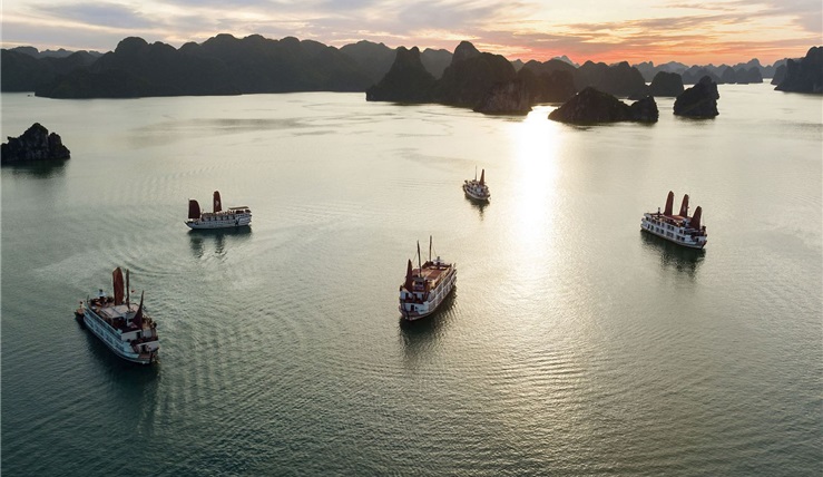 Pelican Cruise 3 Days 2 Nights Immerse Yourself In The Magical Bay