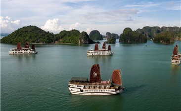 Pelican Cruise 3 Days 2 Nights Immerse Yourself In The Magical Bay