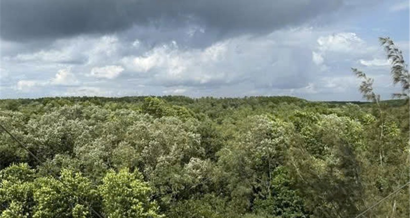 Can Gio Mangrove Forest Expedition - Full Day Tour