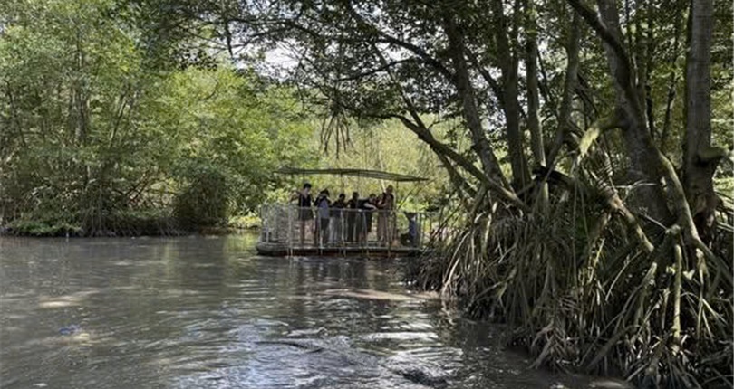 Can Gio Mangrove Forest Expedition - Full Day Tour