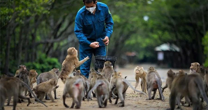 Can Gio Mangrove Forest Expedition - Full Day Tour