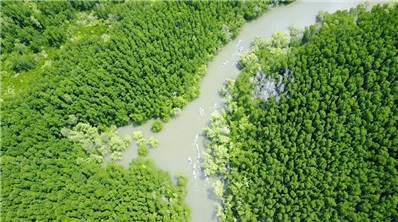 Can Gio Mangrove Forest Expedition - Full Day Tour