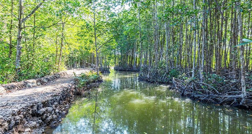 Can Gio Mangrove Forest Expedition - Full Day Tour